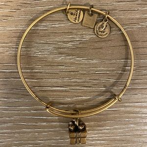 Alex and Ani Giftbox bracelet